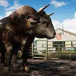 Far Cry 5 - Neues Video über die Tierwelt erschienen